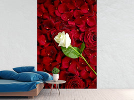 photo-wallpaper-bed-of-roses