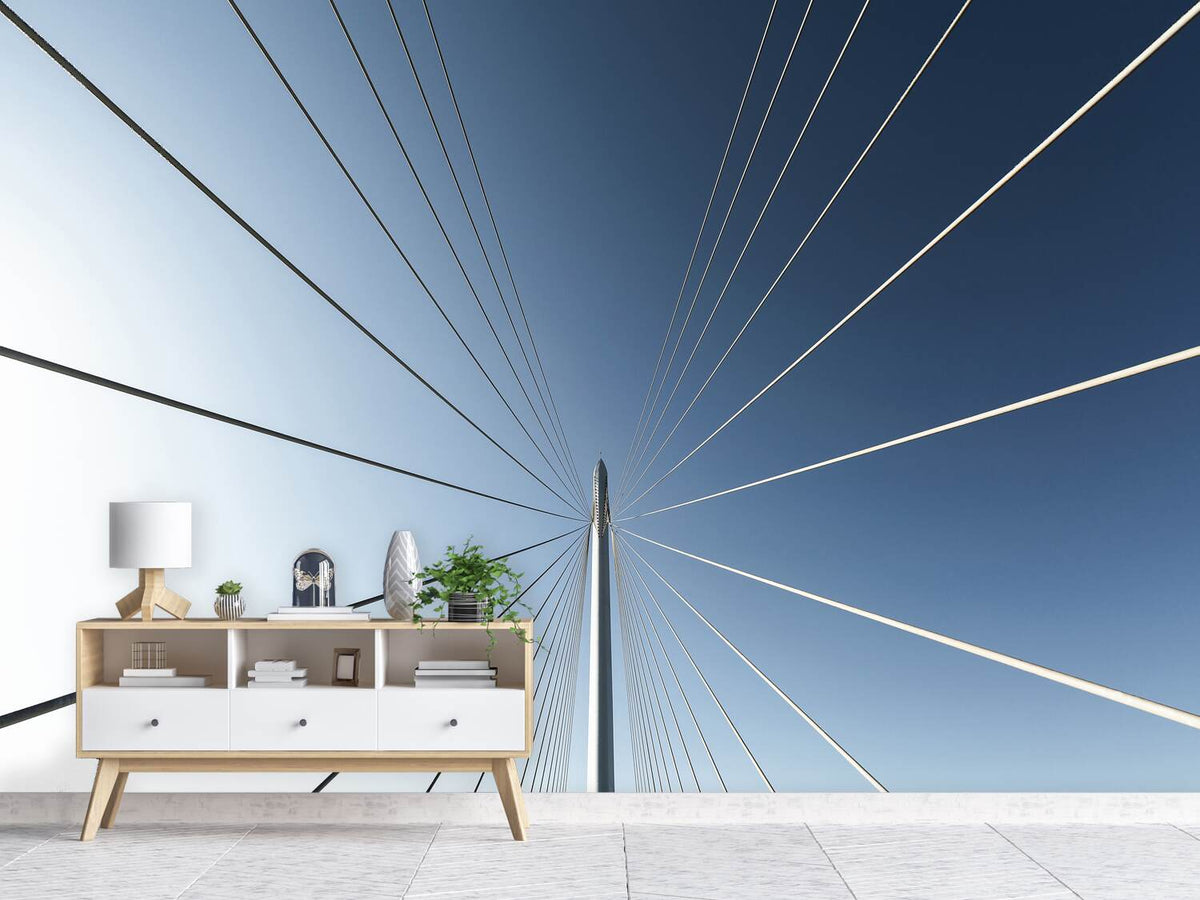 photo-wallpaper-calatrava-bridge-x