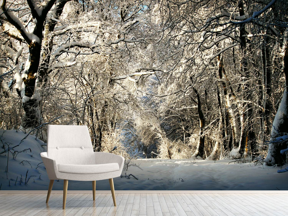 photo-wallpaper-a-winter-dream