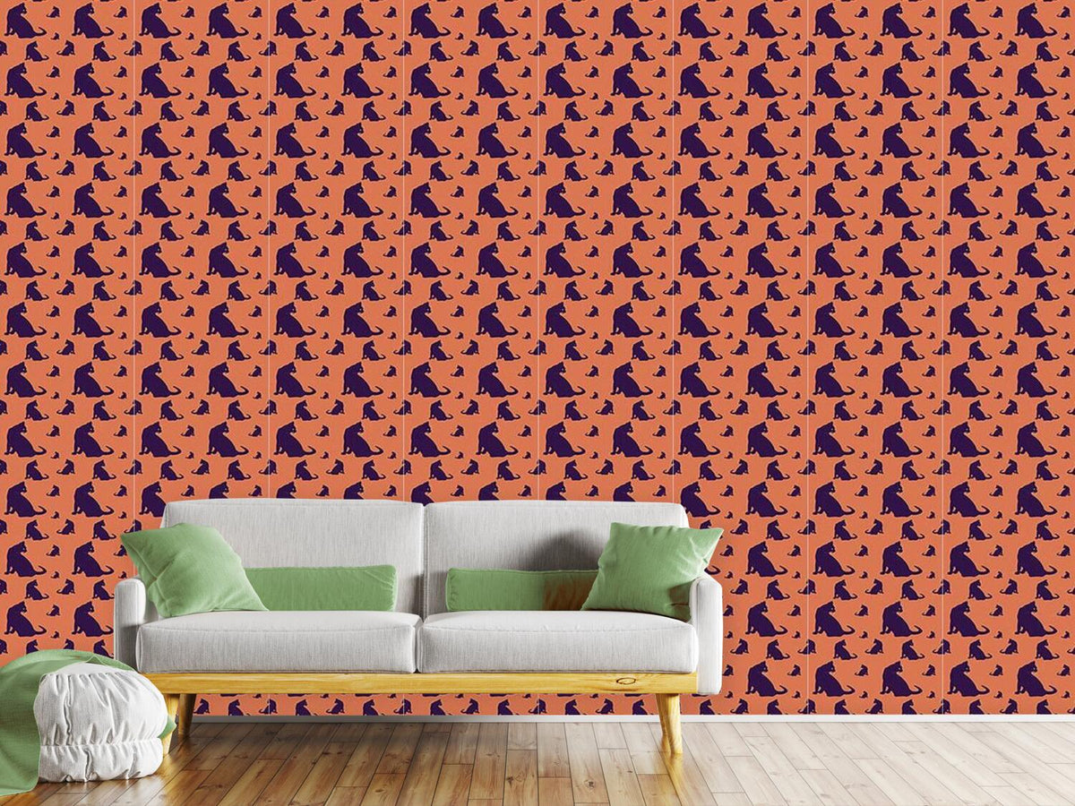 patterned-wallpaper-watch-out-for-cats