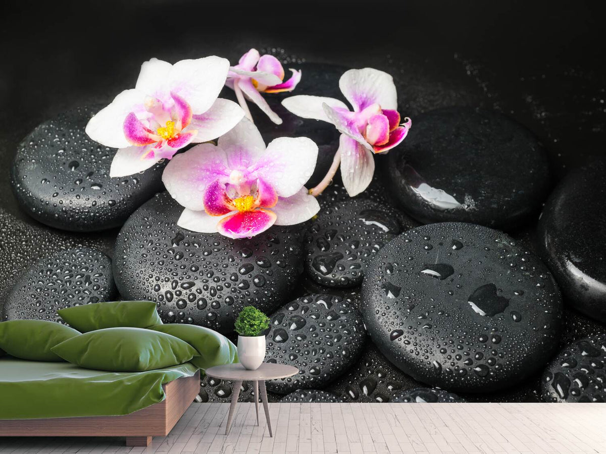 photo-wallpaper-feng-shui-orchid-zen