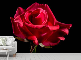 photo-wallpaper-the-flower-of-love