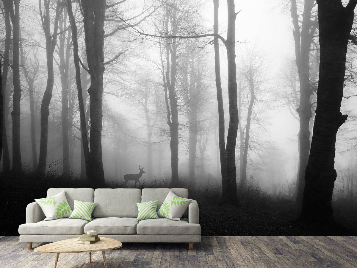 photo-wallpaper-forest-xue