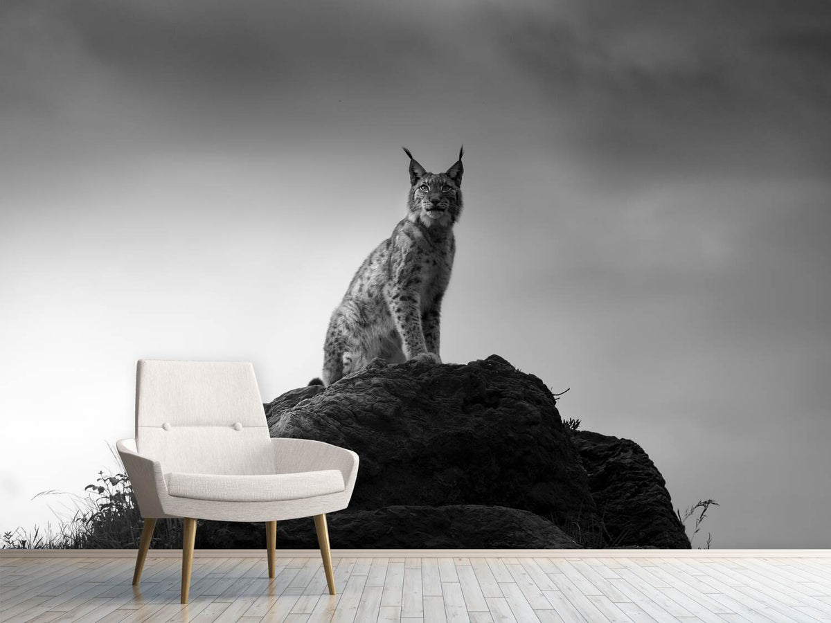 photo-wallpaper-lynx-drama-x